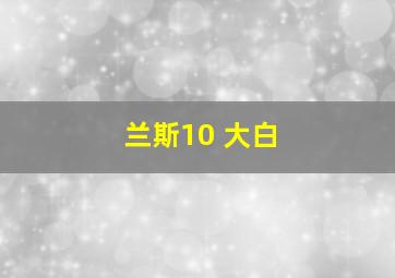 兰斯10 大白